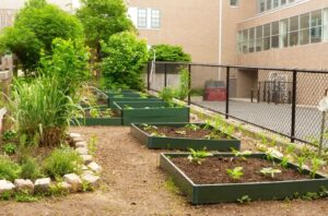Why Teachers Build School Gardens in the Battle Against Climate Change